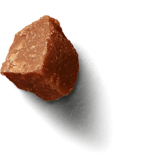Cadbury Bite